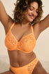 PrimaDonna Twist Rupi Rio Briefs